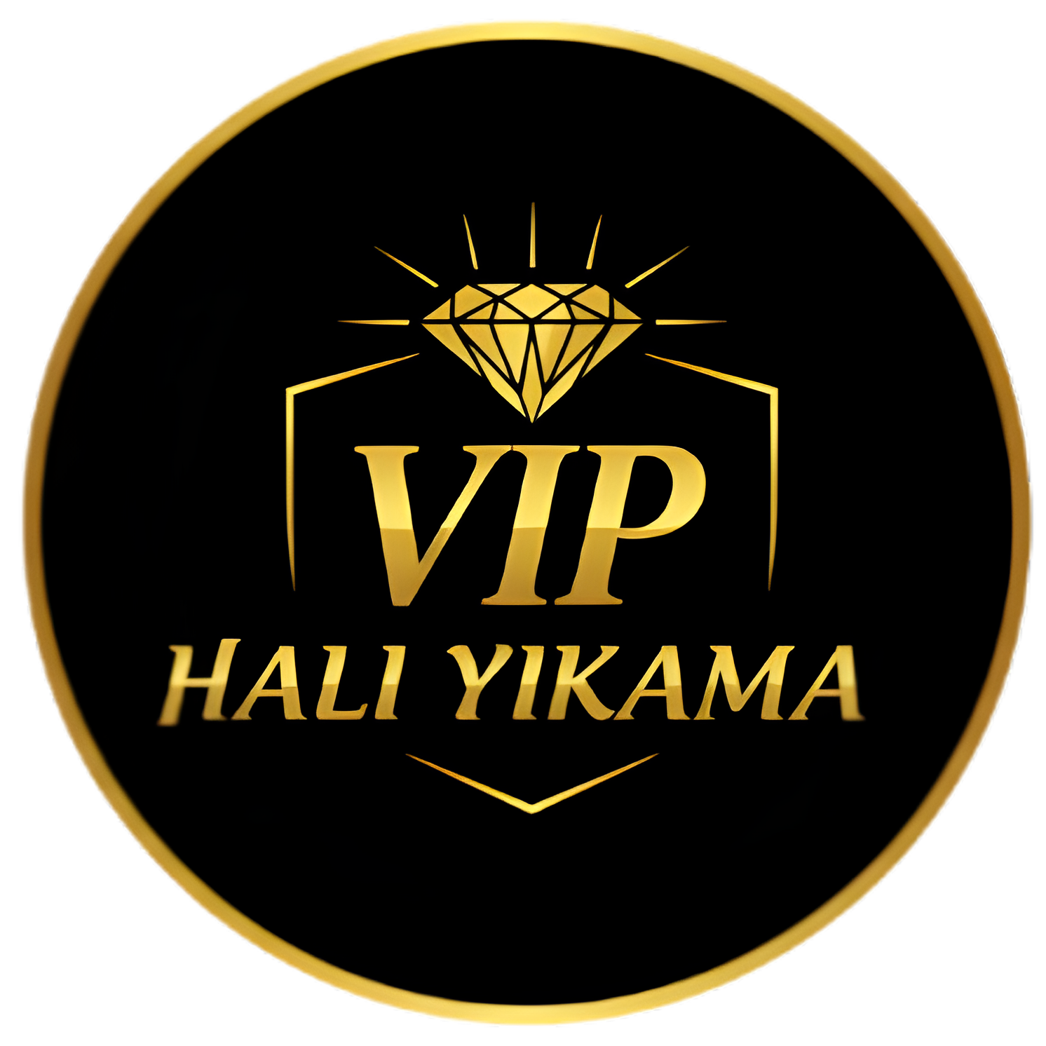 VIP Logo